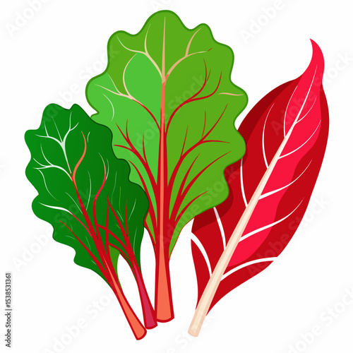 Colorful Swiss Chard Illustration Vibrant Greens and Reds Fresh Produce Culinary Ingredient Healthy Eating Vegetarian Vegan Farm Fresh Garden Vegetable Isolated on White Background Food