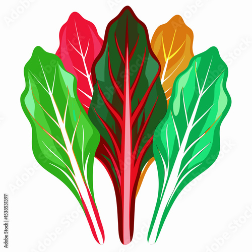 Colorful Swiss Chard Illustration Vibrant Leaves of Red Green and Gold a Fresh and Healthy Vegetable Perfect for Culinary Projects and Nutritional Education Materials Isolated