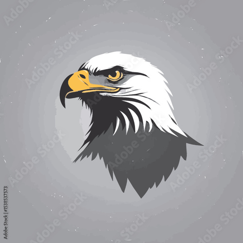 bald eagle in the sky