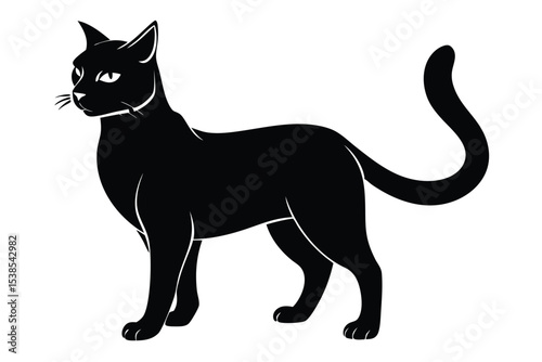 Elegant silhouette shows a sleek black cat with bright eyes standing alert and watching