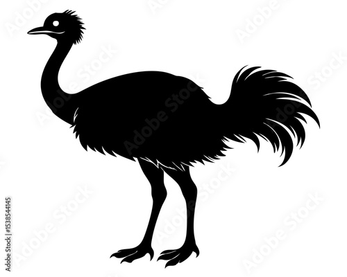 Emu Vector Art, Bird Icon Clipart