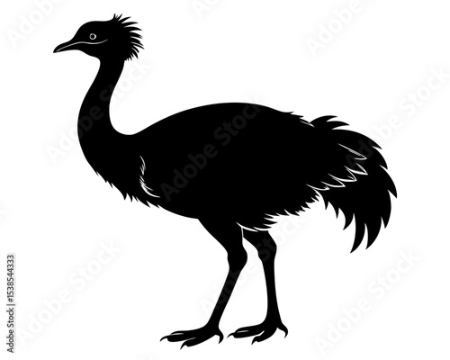 Emu Vector Art, Bird Icon Clipart