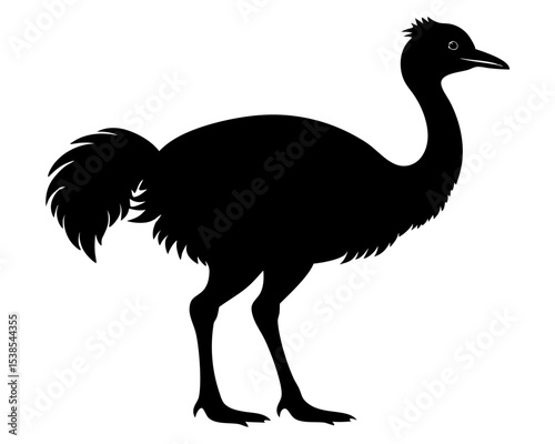 Emu Vector Art, Bird Icon Clipart