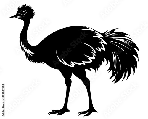 Emu Vector Art, Bird Icon Clipart