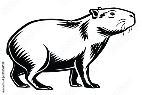 Capybara standing profile showcasing its semi aquatic rodent characteristics in a bold black and white rendition