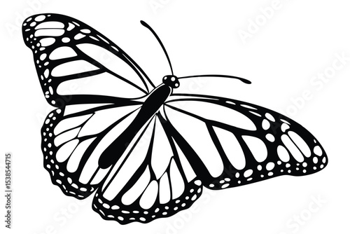 Detailed butterfly presents delicate dotted wings showcasing intricate patterns in a monochrome vector