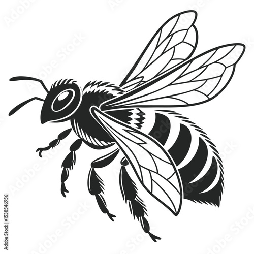 Detailed monochrome bee illustration showcases its wings, legs, and striped abdomen clearly