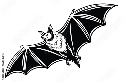 Striking black and white bat soars gracefully with its wings spread against the white
