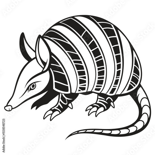 The outlined armadillo features banded armor and a segmented tail, displayed in monochrome shading