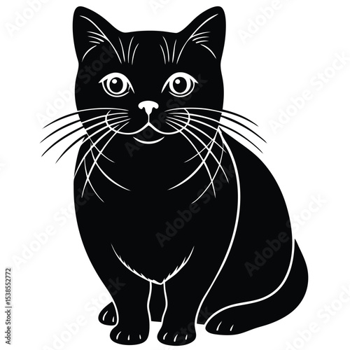 british shorther cat vector