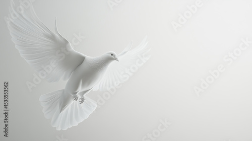 Graceful white dove soaring against a pure white background