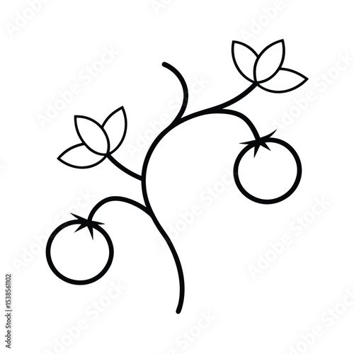 vector illustration of an apple