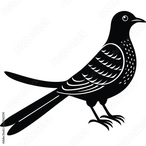 cuckoo vector