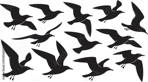 Black Silhouette Seagull Collection Flight Birds Flock Wildlife Nature Graphic Design Element