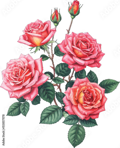 pink roses with artistic detail and buds. Beautifully pink rose flowers with green foliage. Pink roses in full bloom with delicate soft details. Artful depiction of pink roses and green leaves bouquet