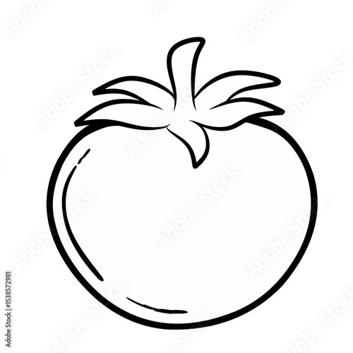 Line tomato isolated on white