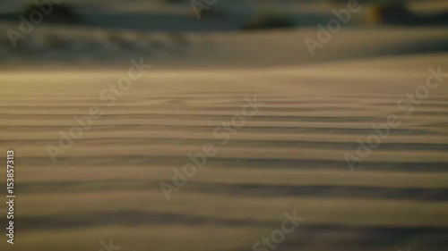 Desert Dune Sculptures, Wind Erosion, Abstract Sand Art