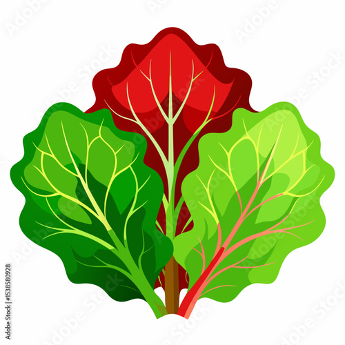 Illustration of colorful Swiss chard plants with vibrant red and green leaves and stems a healthy vegetable for salads and cooking isolated on white background