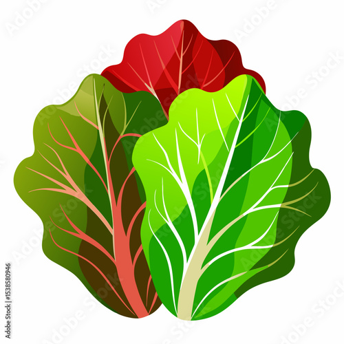 Vibrant Swiss Chard Illustration with Colorful Leaves a Healthy and Fresh Vegetable Ideal for Food Illustrations Recipes and Promoting Healthy Eating Habits and Vegetarian Lifestyle