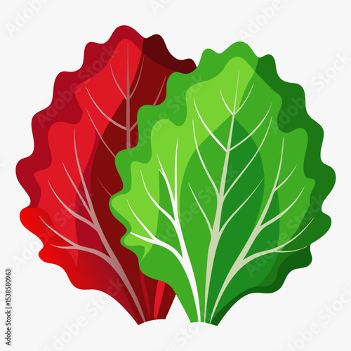 Two lettuce heads one red and one green with detailed leaf veins isolated on a white background perfect for illustrating healthy eating and fresh produce