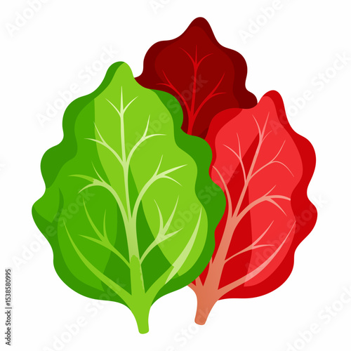Illustration of Three Lettuce Leaves in Different Colors Green Light Red and Dark Red Isolated on White Background Perfect for Healthy Eating and Gardening Concepts