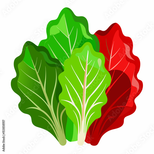 Fresh Chard Leaves Illustration in Green and Red Colors a Vibrant and Healthy Vegetable for Culinary and Nutritional Designs Isolated on White Background