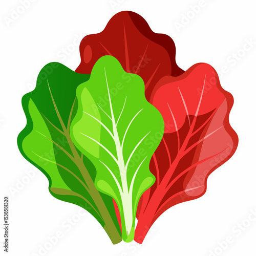 Colorful Swiss Chard Illustration A vibrant depiction of green red and yellow Swiss chard leaves perfect for illustrating healthy eating gardening or vegetarian cuisine concepts