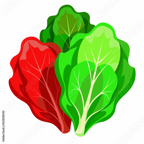 Three vibrant lettuce heads showcasing red light green and dark green varieties perfect for illustrating healthy eating vegetarianism or fresh produce in a colorful and