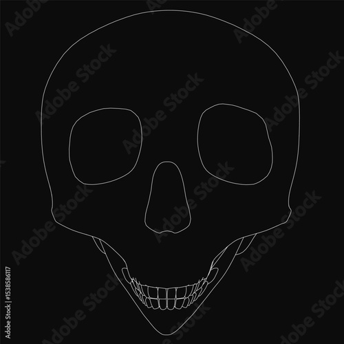 Contour drawing of a skull with clean, bold lines and intricate details, showcasing the anatomical structure. The minimalist black and white design highlights the shape and symmetry.