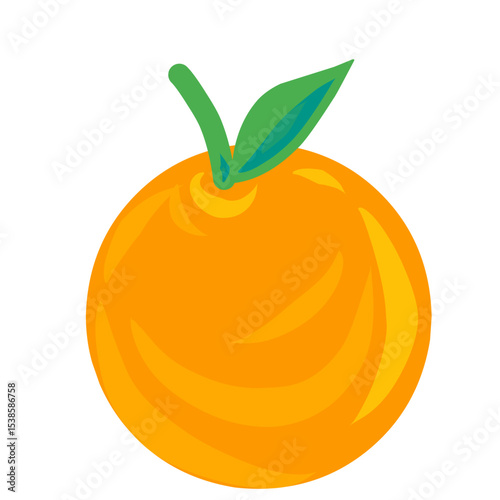 vector illustration of orange fruit