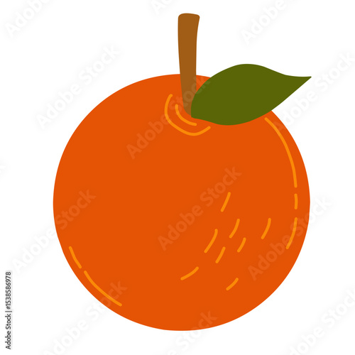 vector illustration of an orange fruit