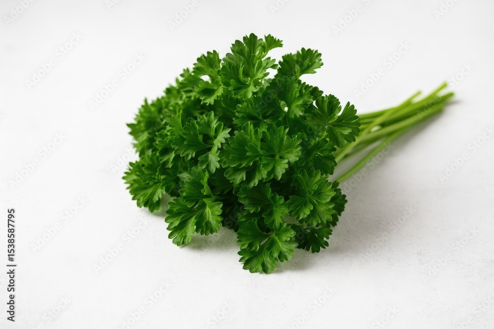 Fototapeta premium Fresh parsley spread on a white stone surface with selective focus