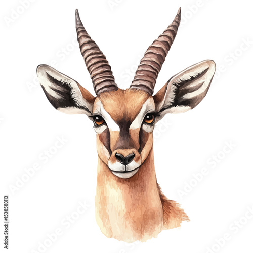 Billede på lærred Antelope Close Up, watercolor vector, isolated on a white background