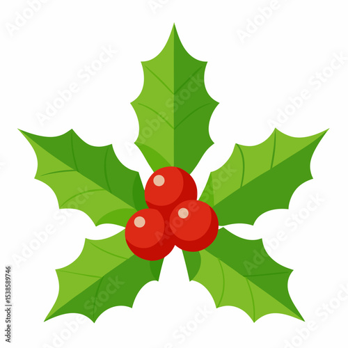 Festive Holly Berry Illustration for Christmas and Winter Holidays featuring bright green leaves and vibrant red berries perfect for seasonal designs and decorations