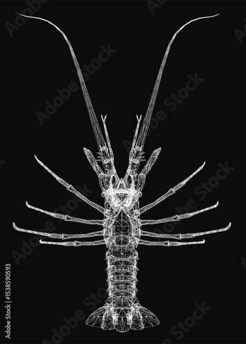 3D wireframe lobster with intricate details, featuring long antennae and sharp spines on a black background. Its light brown body contrasts with darker brown legs, while large round eyes and a long.