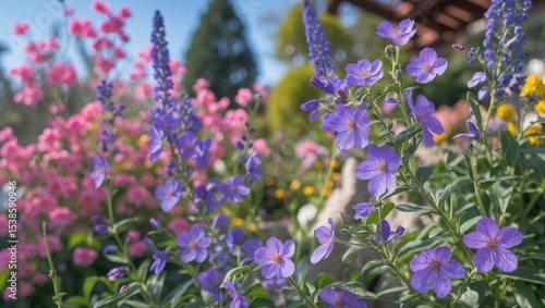 A close-up of blooming plumbago in a lush garden