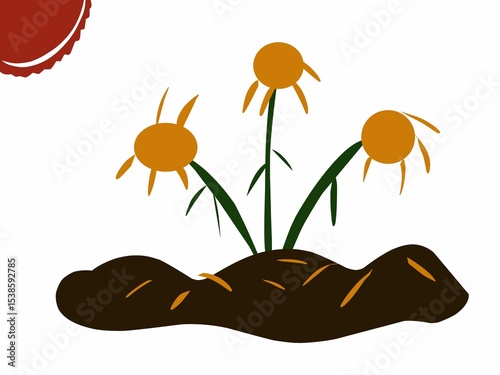 Plants wilt in dry soil, a symbol of drought and climate change