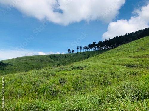 landscape with mountains and blue sky