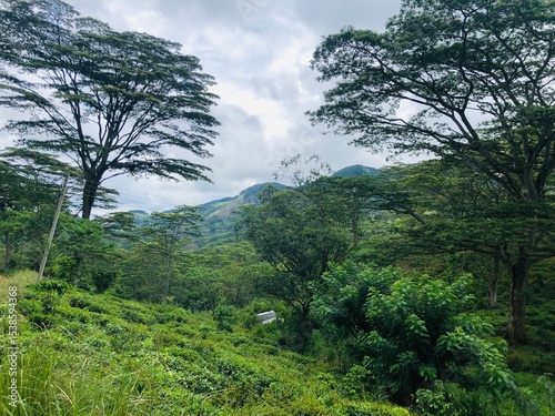 Mountains in Sri Lanka - cold weather 