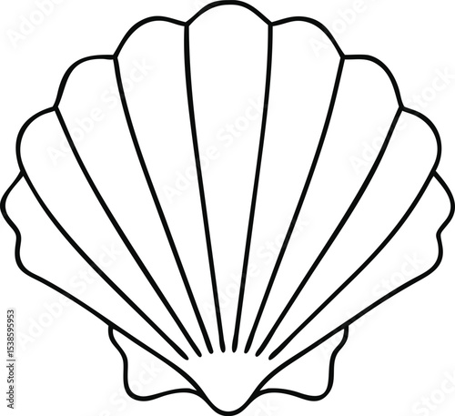 vector illustration of a seashell