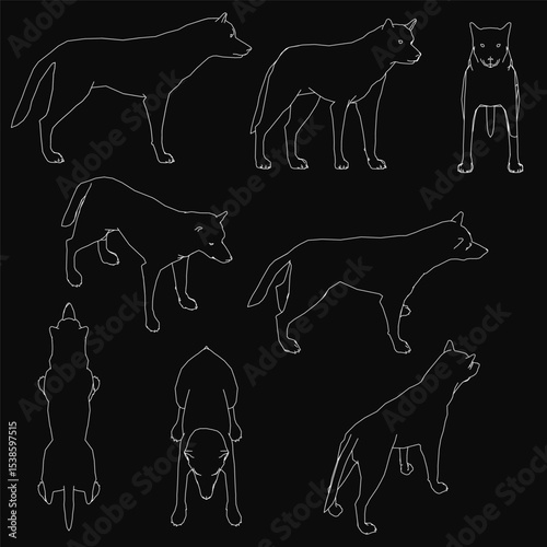 Silhouettes of wolves stand sharply against a black background, rendered in a clean vector style. The set features multiple coyote-like figures with crisp outlines and bold contrast.
