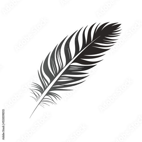 feather isolated on white background