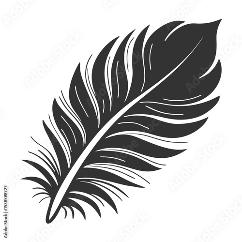 feather isolated on white background