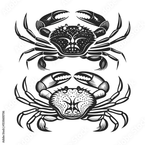 Vector illustration of two black and white crab symbols.