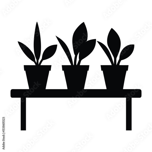 Three house plants in pots on a shelf black silhouette vector illustration