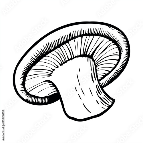 A detailed illustration of a mushroom with a broad cap and a thick stem. The lines are bold and clear, emphasizing the mushroom's structure.