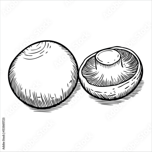 Two hand-drawn mushrooms, one whole and one sliced, displayed in a simple black and white style. Ideal for culinary or botanical themes.