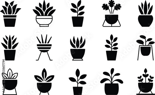 Collection of modern house plants in minimalist silhouette style perfect for design elements