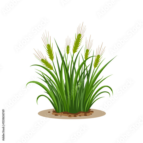 Illustration of Green Grass and Wheat Plants in a Small Patch of Soil, Vector Graphic