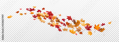 Falling leaves, autumn foliage on transparent background, beautiful background of orange and gold leaves. Vector maple leaf, png, flying foliage from tree.	
